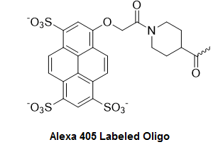 Bio-Synthesis Inc. Oligo Structure